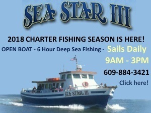 Sea Star 3