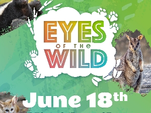 Eyes of the Wild